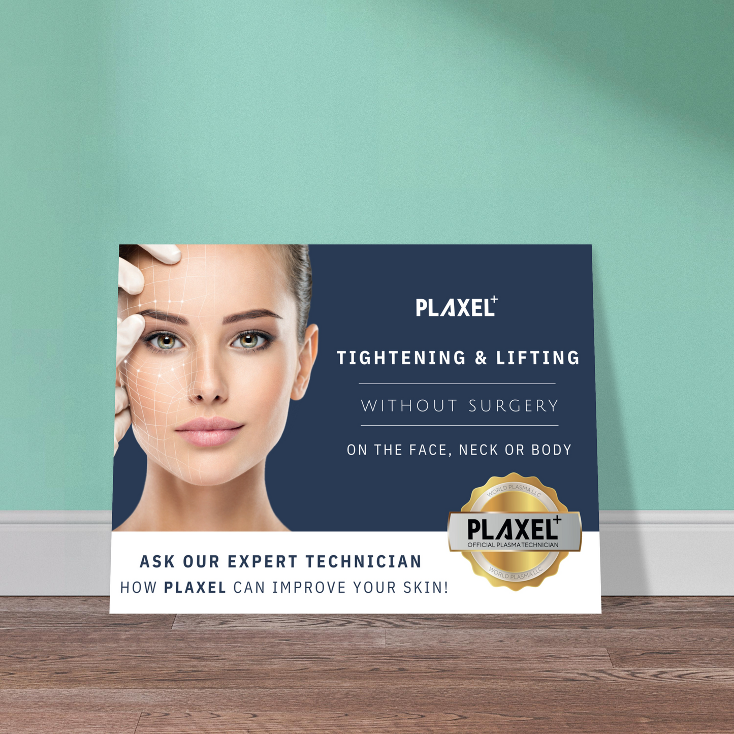 PLAXEL Provider Poster