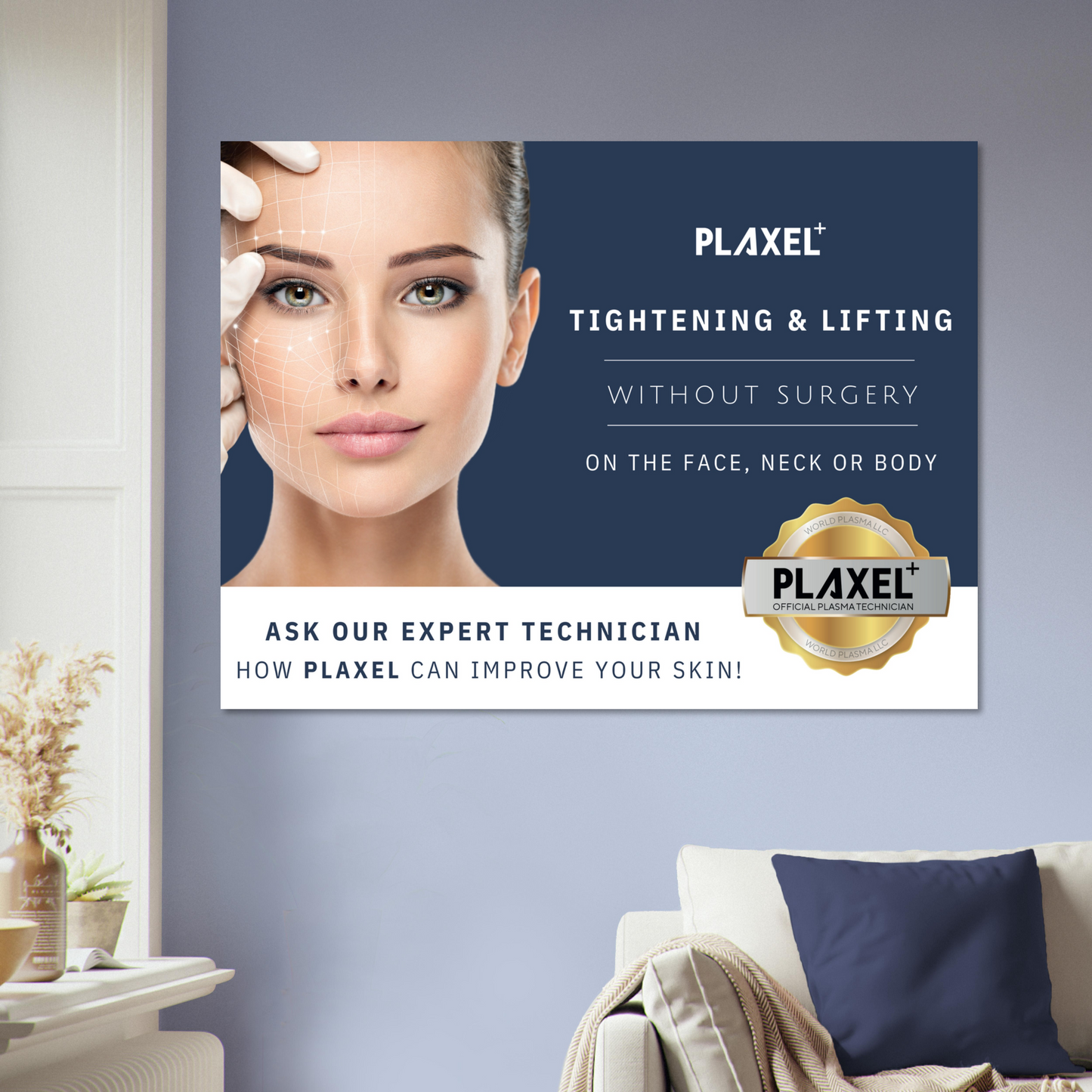 PLAXEL Provider Poster