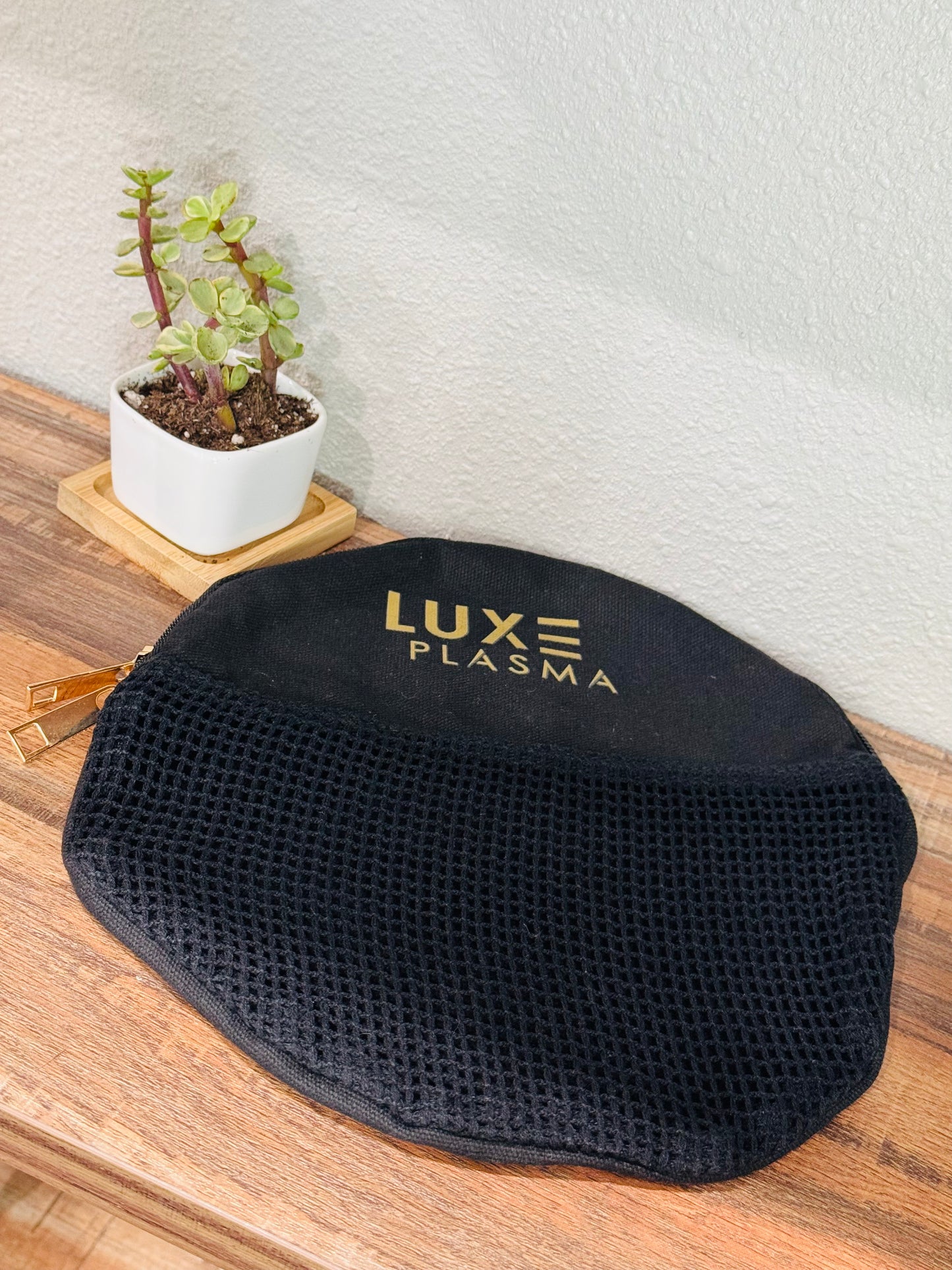 LUXE Plasma Canvas Makeup/Product Bag